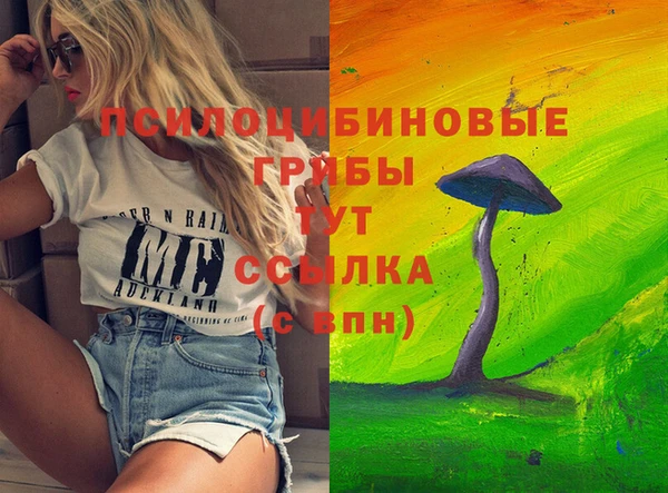 герыч Алзамай