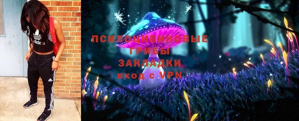 гидра Алексин