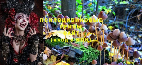 герыч Алзамай