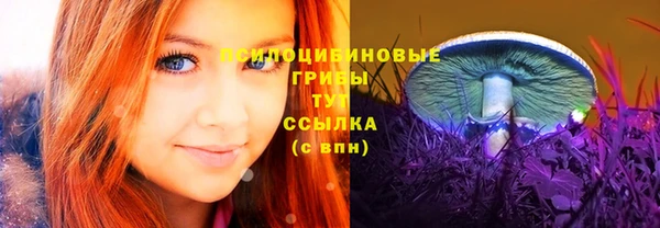 герыч Алексеевка